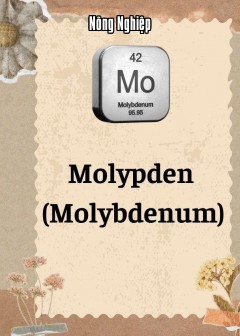 Molypden (Molybdenum)