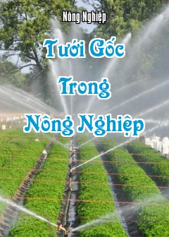Tưới Gốc Trong Nông Nghiệp