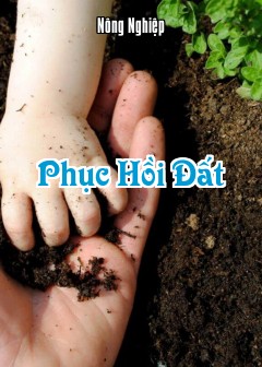 Phục Hồi Đất