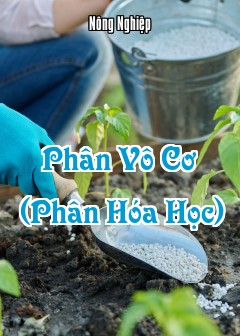 Phân Vô Cơ (Phân Hóa Học)