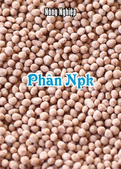 Phân Npk