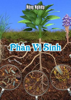 Phân Vi Sinh