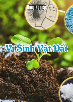 Vi Sinh Vật Đất