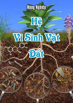 Hệ Vi Sinh Vật Đất