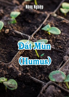 Đất Mùn (Humus)