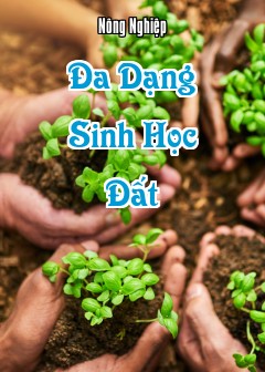 Ảnh Đa Dạng Sinh Học Đất
