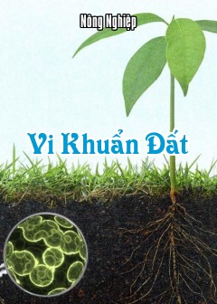 Ảnh Vi Khuẩn Đất