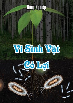 Ảnh Vi Sinh Vật Có Lợi