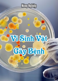 Ảnh Vi Sinh Vật Gây Bệnh