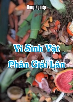 Ảnh Vi Sinh Vật Phân Giải Lân
