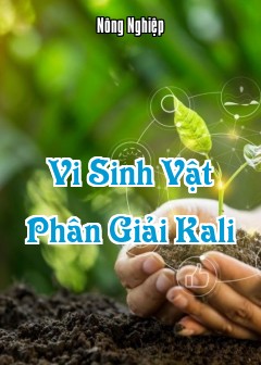 Ảnh Vi Sinh Vật Phân Giải Kali