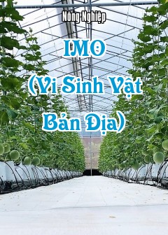 Imo (Vi Sinh Vật Bản Địa)