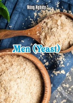 Men (Yeast)