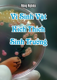 Vi Sinh Vật Kích Thích Sinh Trưởng