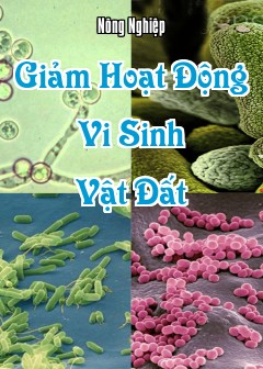 Giảm Hoạt Động Vi Sinh Vật Đất