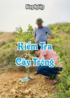 Ảnh Kiểm Tra Cây Trồng