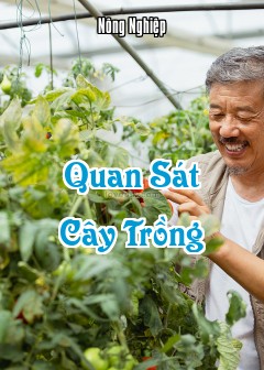 Quan Sát Cây Trồng