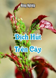 Dịch Hút Trên Cây