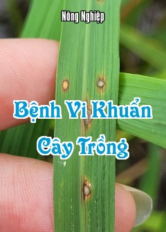 Bệnh Vi Khuẩn Cây Trồng