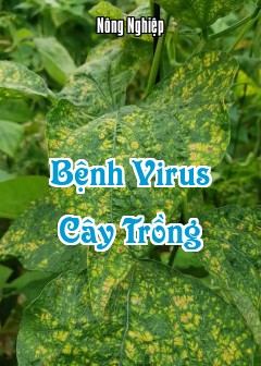Bệnh Virus Cây Trồng