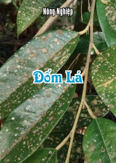 Đốm Lá