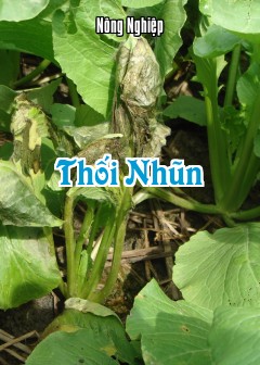 Thối Nhũn
