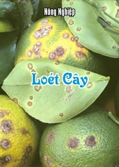 Loét Cây