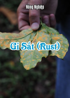 Gỉ Sắt (Rust)
