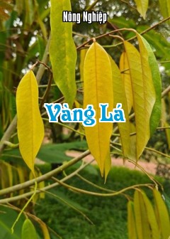 Vàng Lá