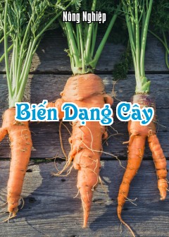 Biến Dạng Cây