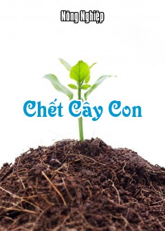Chết Cây Con