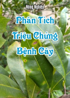 Phân Tích Triệu Chứng Bệnh Cây