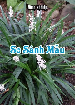 So Sánh Mẫu