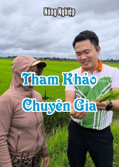 Tham Khảo Chuyên Gia