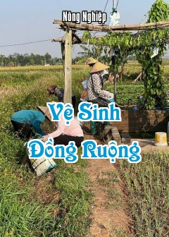 Vệ Sinh Đồng Ruộng