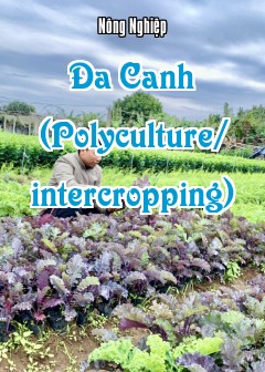 Đa Canh (Polyculture/intercropping)