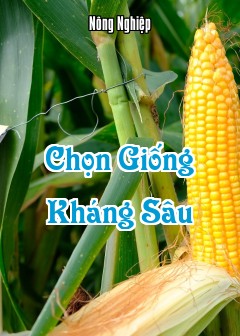 Chọn Giống Kháng Sâu