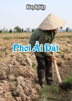 Phơi Ải Đất