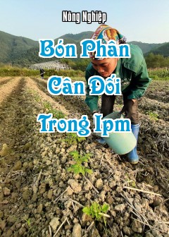 Bón Phân Cân Đối Trong Ipm