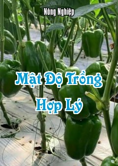 Mật Độ Trồng Hợp Lý
