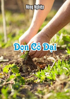 Dọn Cỏ Dại