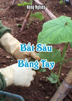 Ảnh Bắt Sâu Bằng Tay