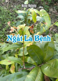 Ảnh Ngắt Lá Bệnh