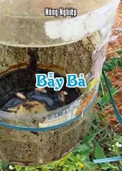 Bẫy Bả