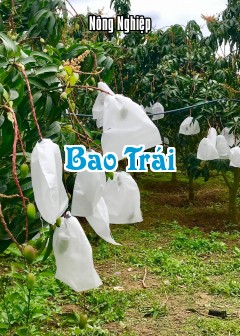 Bao Trái