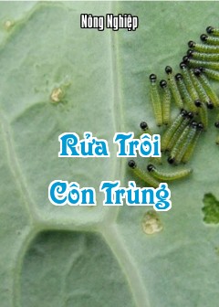 Ảnh Rửa Trôi Côn Trùng