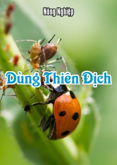 Ảnh Dùng Thiên Địch
