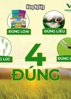 Tuân Thủ “4 Đúng”
