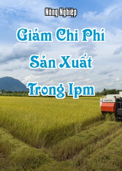 Giảm Chi Phí Sản Xuất Trong Ipm