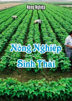 Nông Nghiệp Sinh Thái